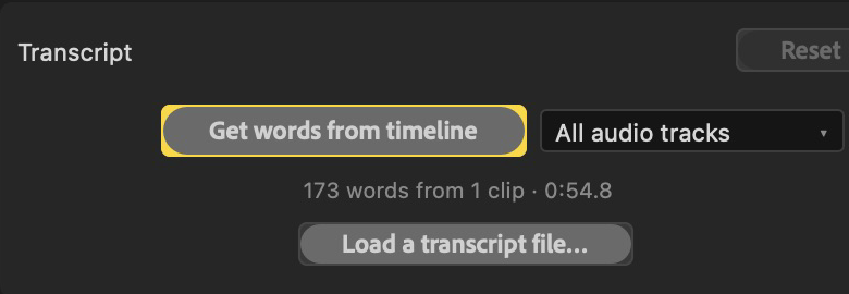 AnyCaptions Transcript controls showing Get words from timeline and 173 words loaded from one clip.
